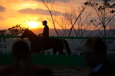 Cavaleiro em silhueta ao pôr do sol durante vaquejada em Amaraji, Pernambuco